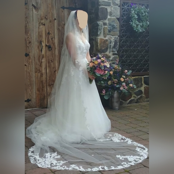 Wedding Dress with Cathedral Length Veil - Picture 3 of 7